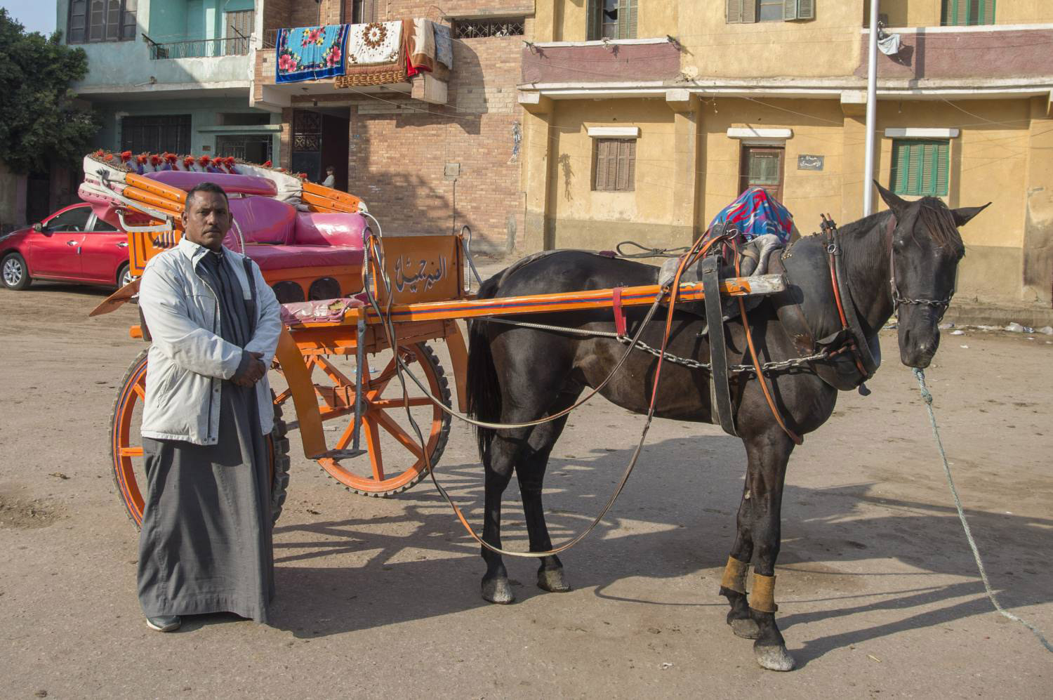 الخيل والسكان عاطلون عن العمل