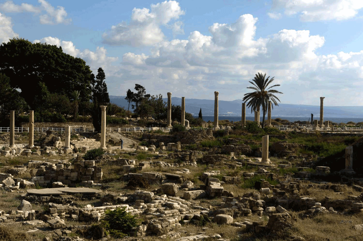 صور مدينة صمدت طيلة قرون