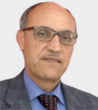 عامر الجريدي: ربما توجد أطراف سياسية وراء ظاهرة الهجرة