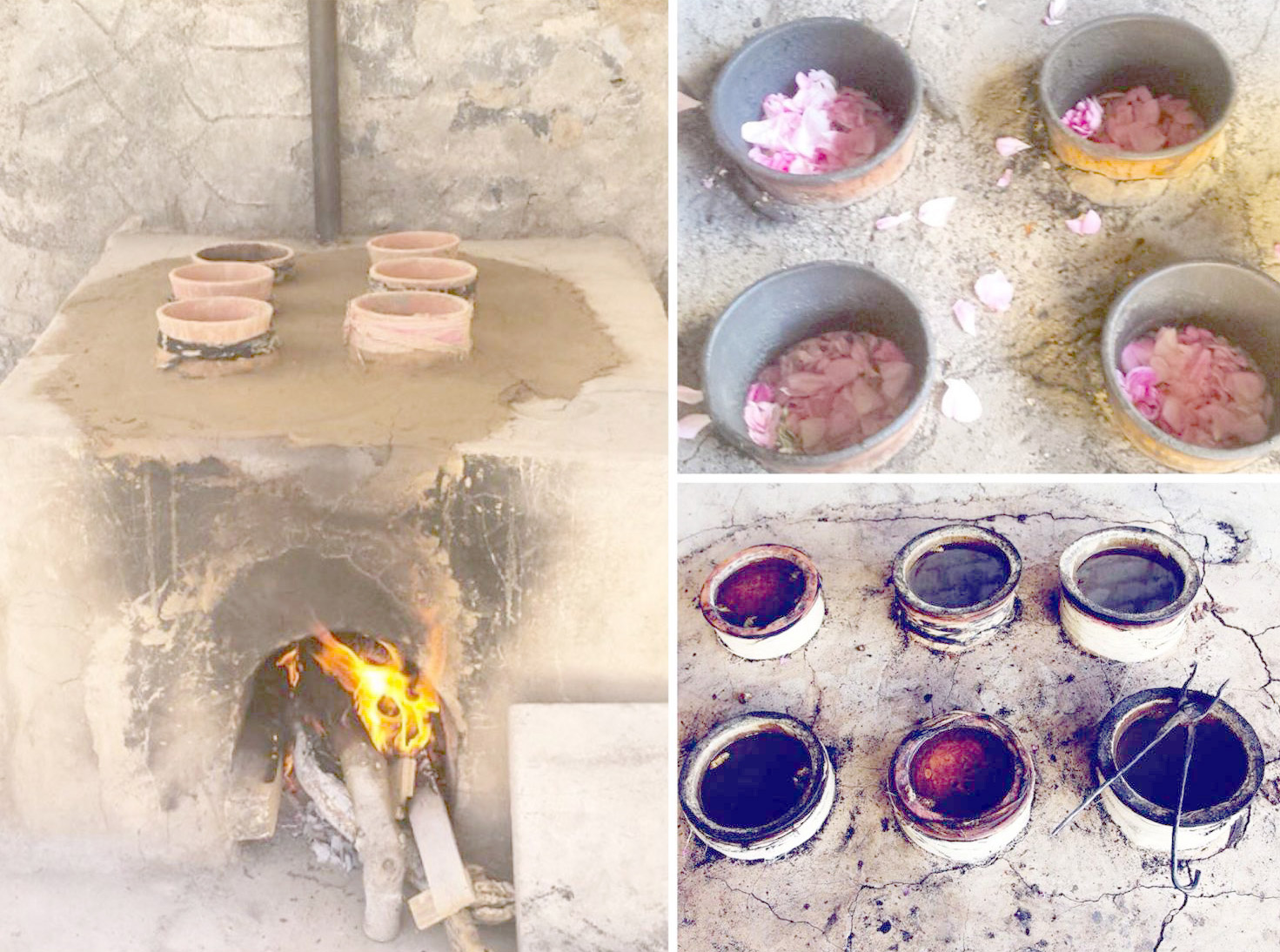 ربيع وردي في جبل أخضر