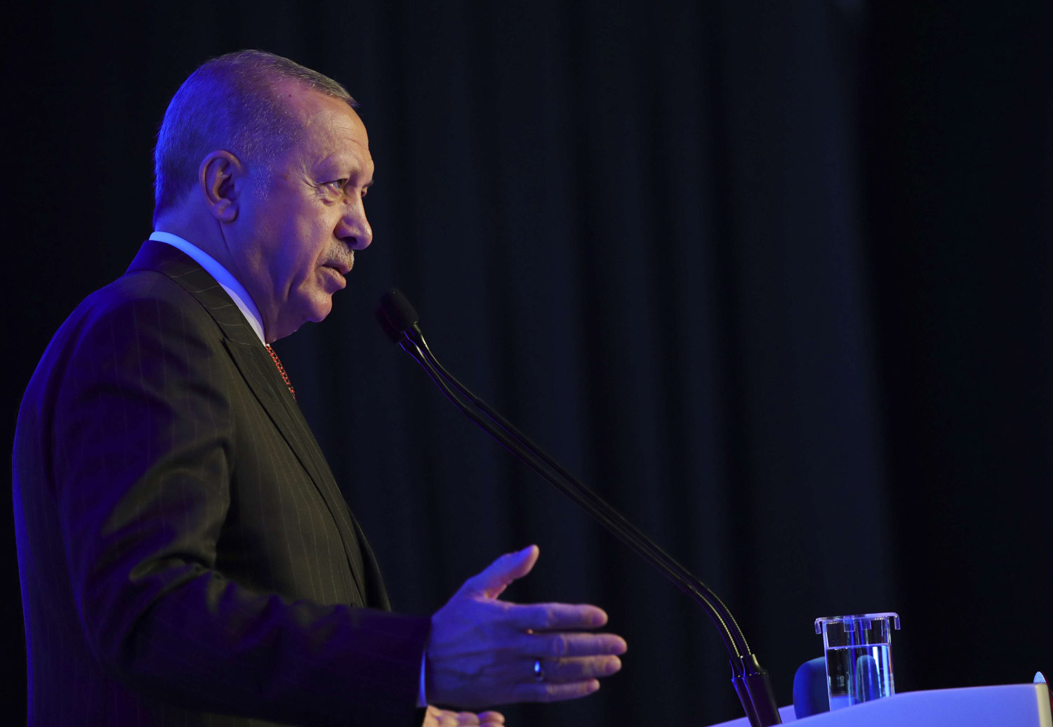 كبح جماح أردوغان 