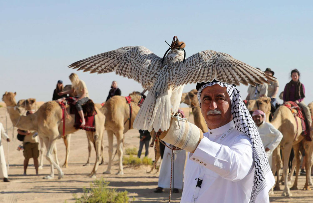 بفضل الجهود التي قادتها الإمارات حصلت الصقارة على أهم اعتراف عالمي بوصفها تراثا ثقافيا مميّزا
