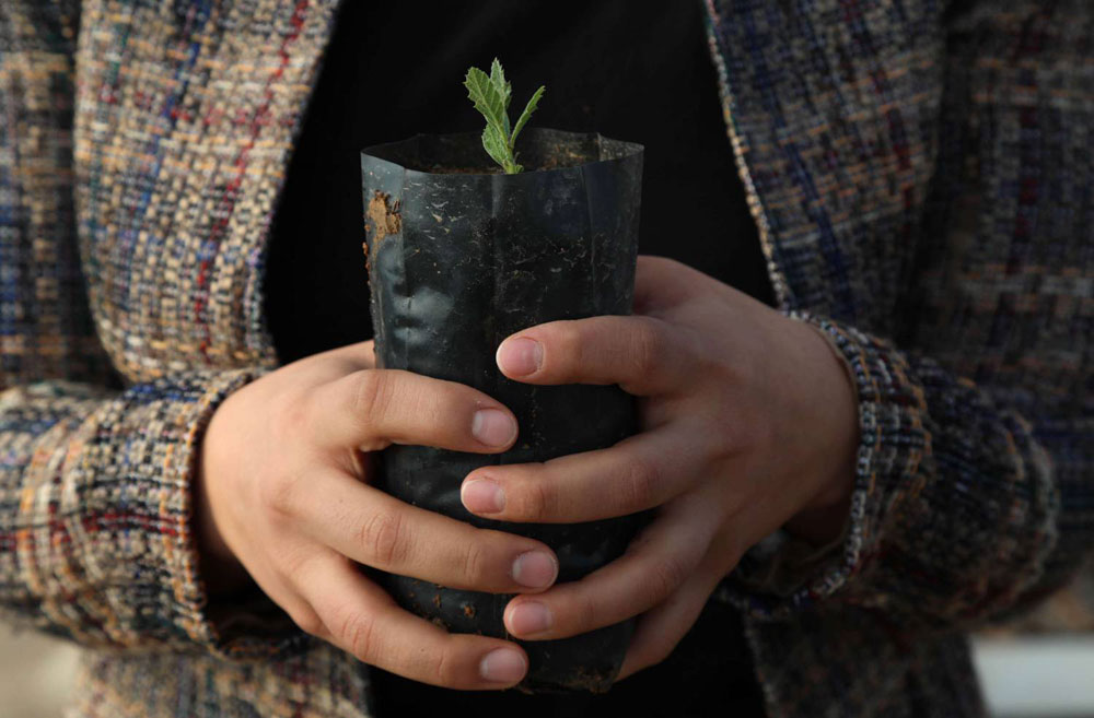 خلق عادات جديدة في المجتمع من خلال غرس الأشجار
