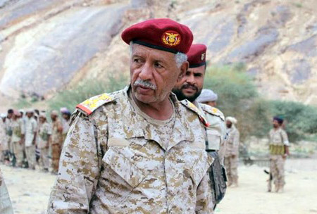 انضمامه للاحتجاجات التي أطاحت بالرئيس صالح في العام 2011 يعد أهم المحطات في مسيرة بحيبح. لكن حدثا هاما وغير متوقع سيعيده إلى الواجب السياسي والعسكري في اليمن بعد ذلك ببضع سنين، مثله اجتياح الحوثيين لصنعاء