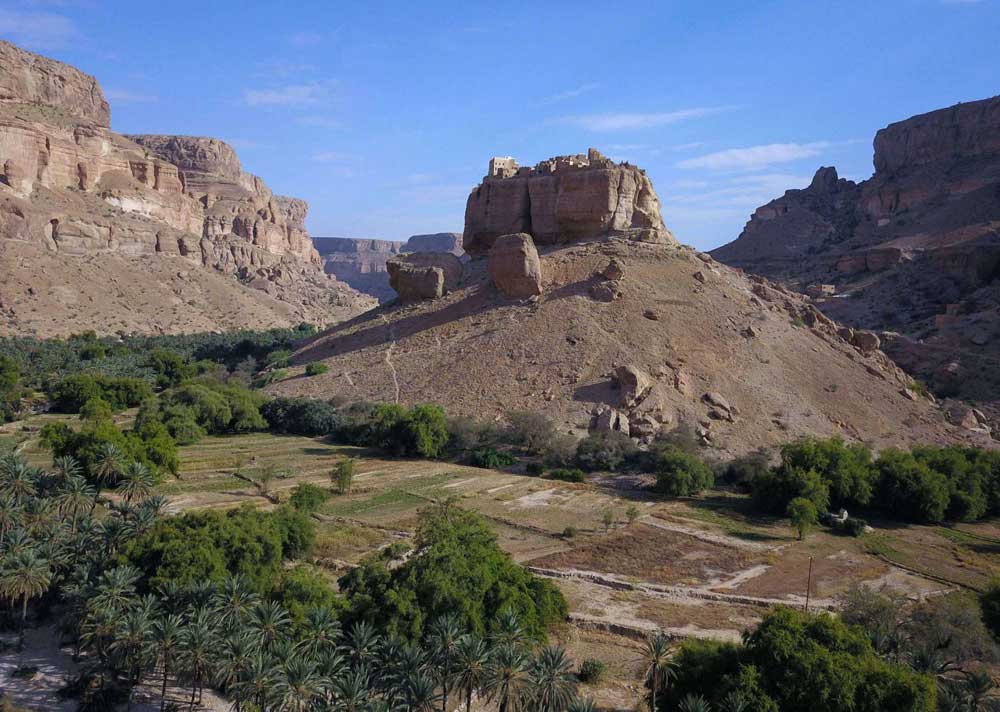 إبداع جلب أنظار العالم