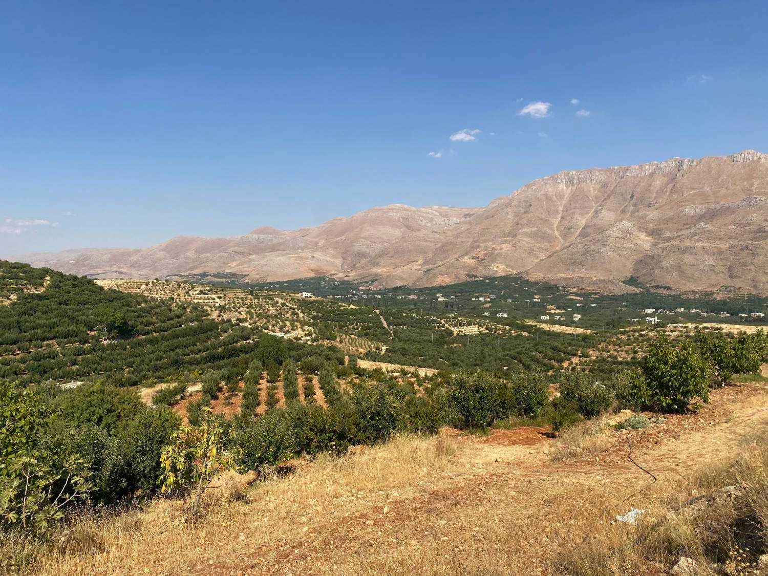 الجميع ساهم بما يستطيع في إعادة الحياة للمنطقة