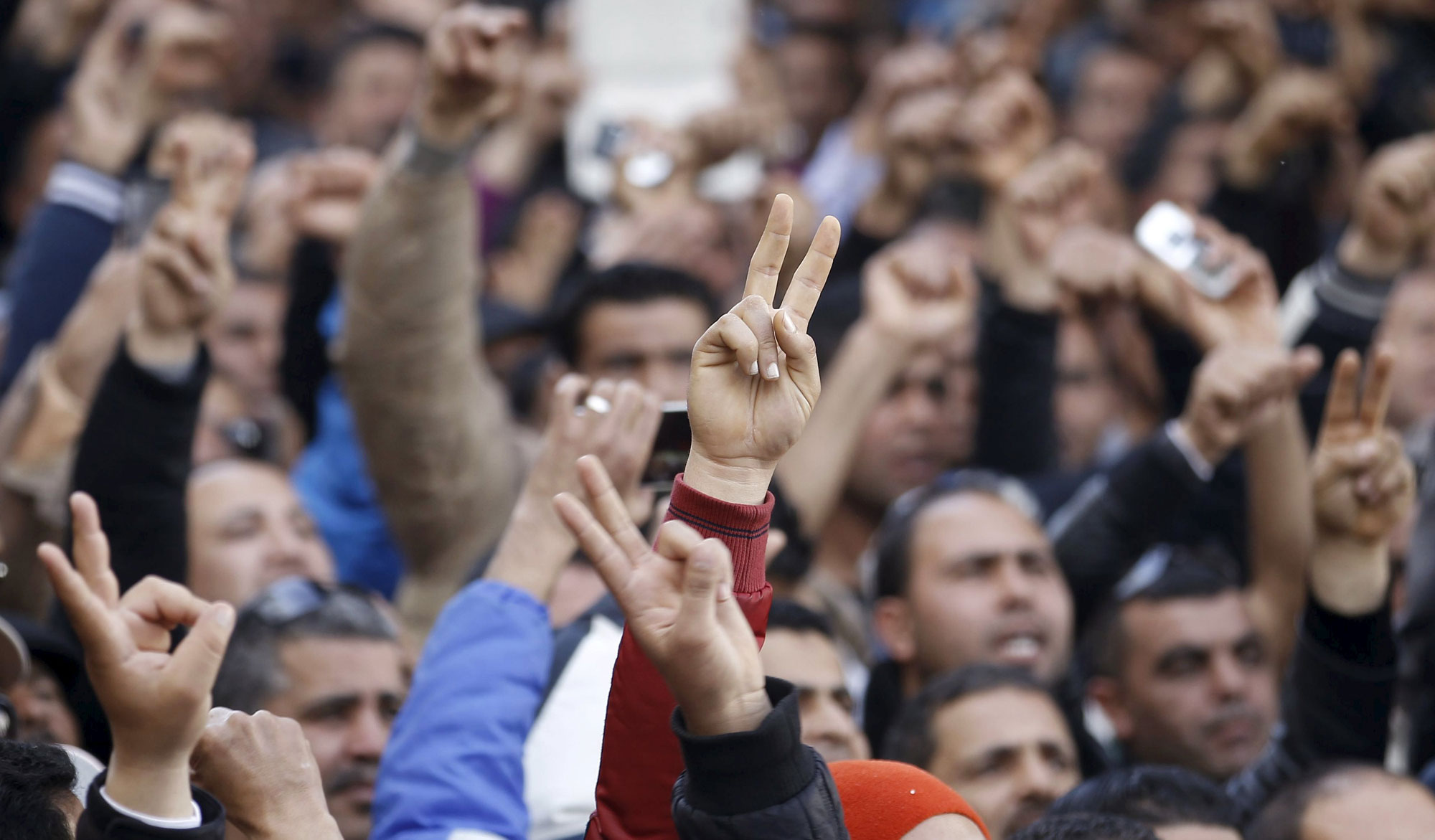 العودة إلى الاحتجاج Thumbnail