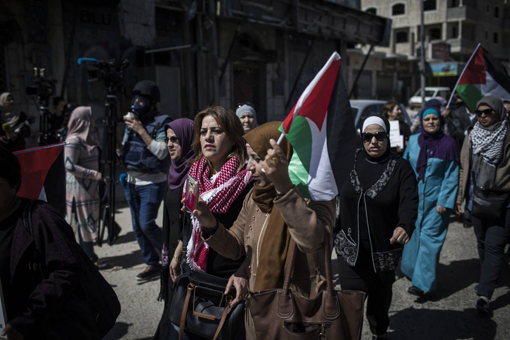 فلسطين Thumbnail