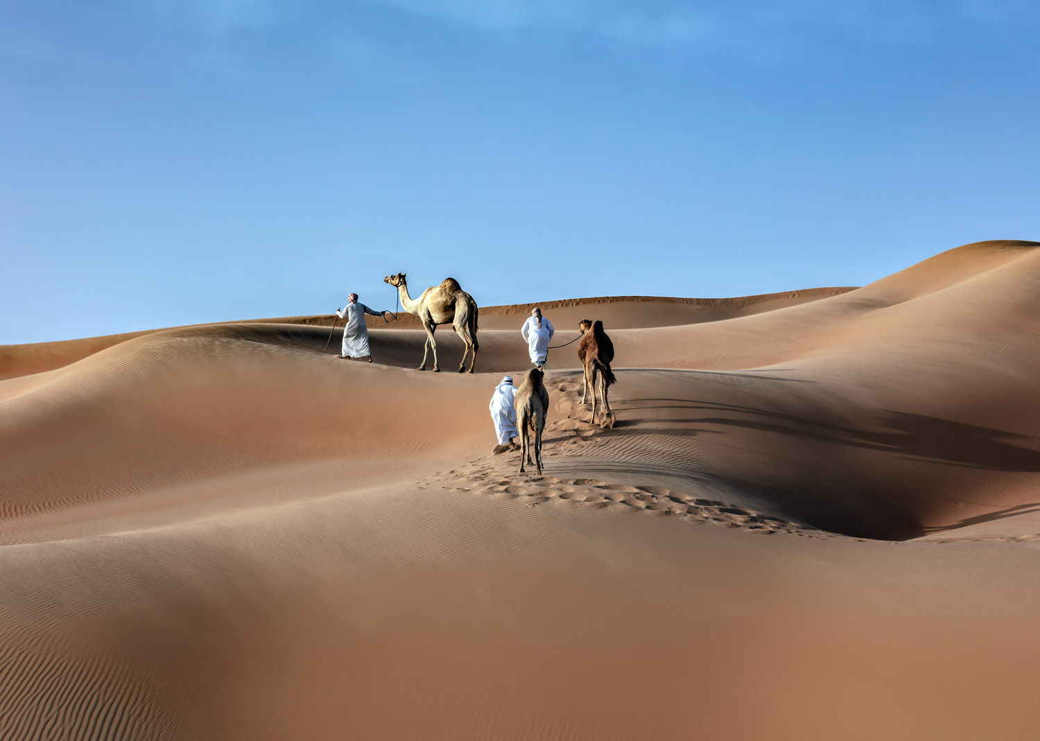 صحراء الامارات Thumbnail