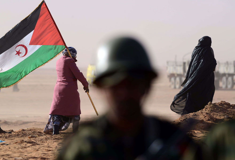البوليساريو Thumbnail