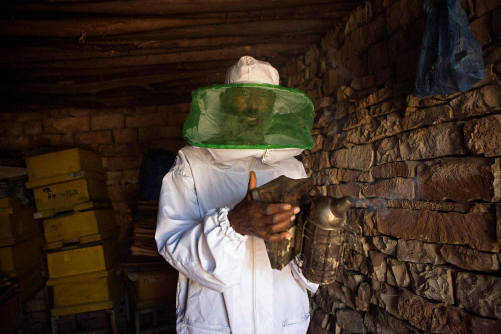 النحل Thumbnail