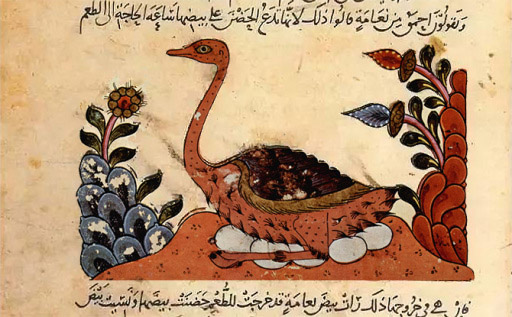 الجاحظ Thumbnail