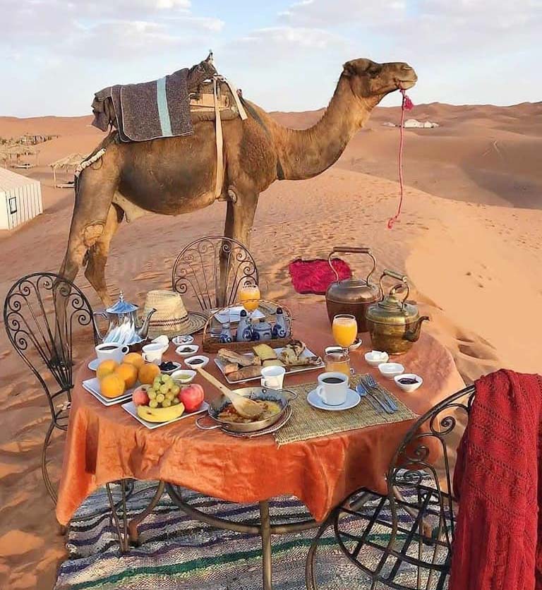 السياح المغاربة والأجانب يعطون دفعة جديدة لاستئناف السياحة في المدينة الحمراء Thumbnail